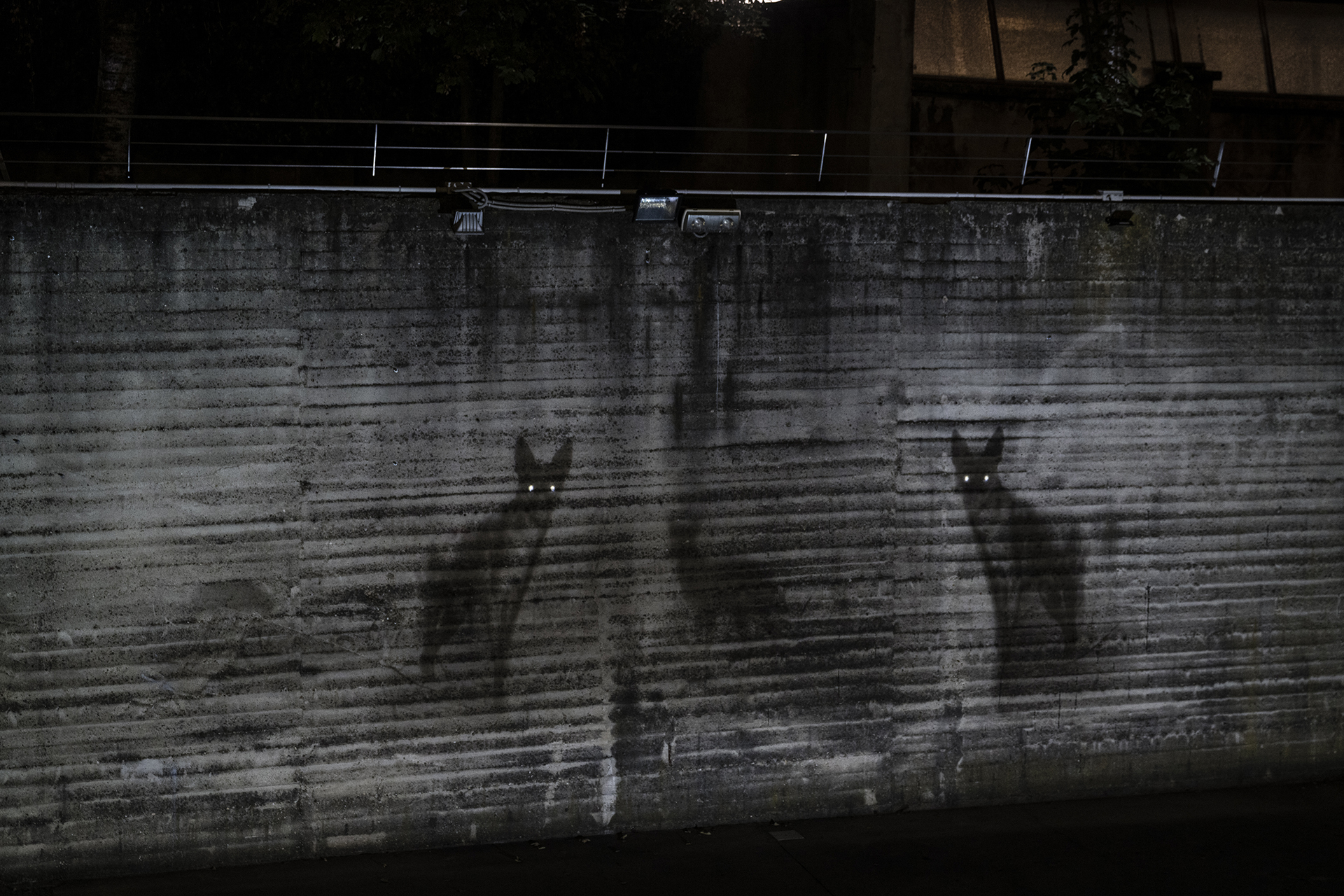 Michal Rovner. Alert | Fondazione Merz