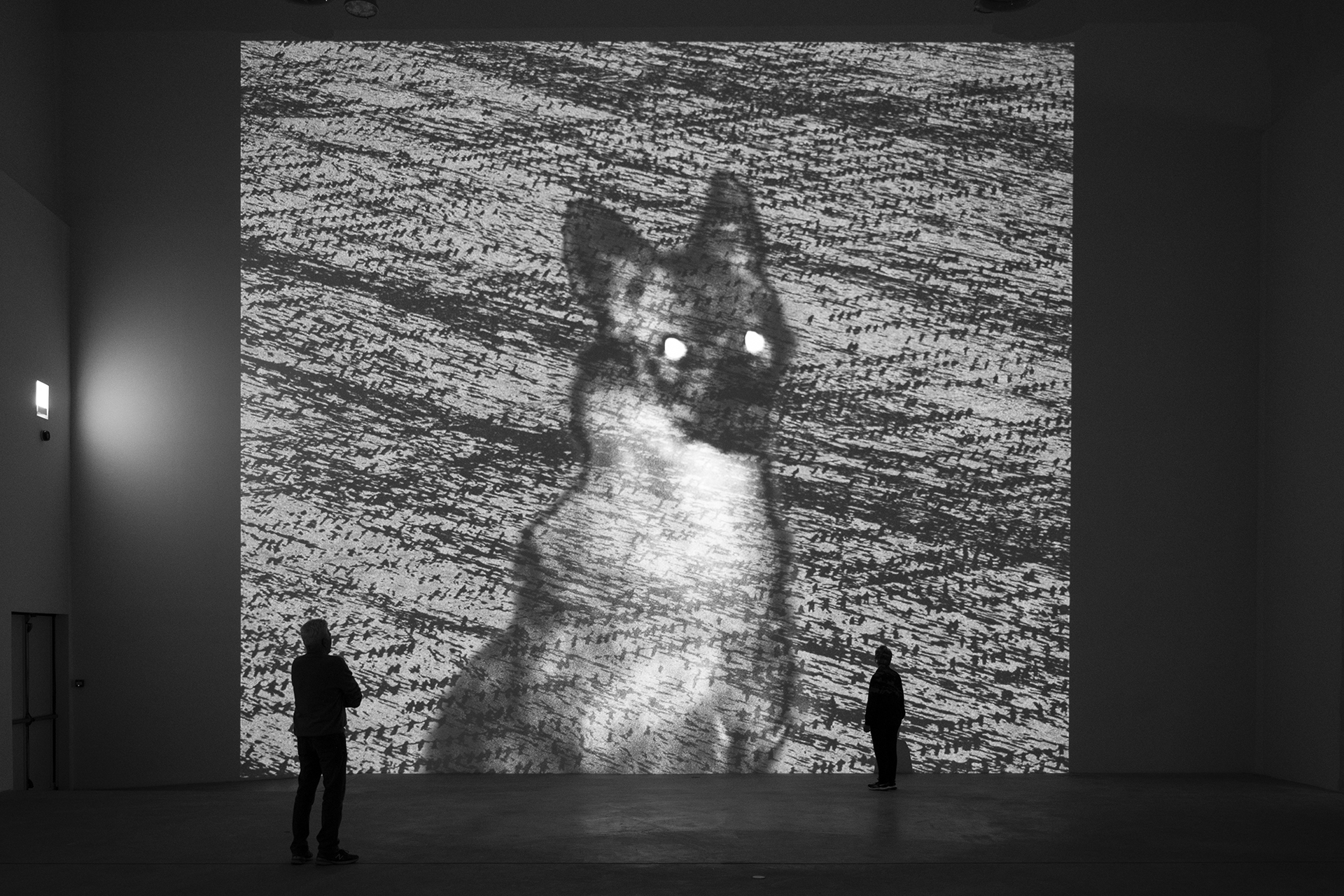 Guided tours of the Michal Rovner exhibition Fondazione Merz